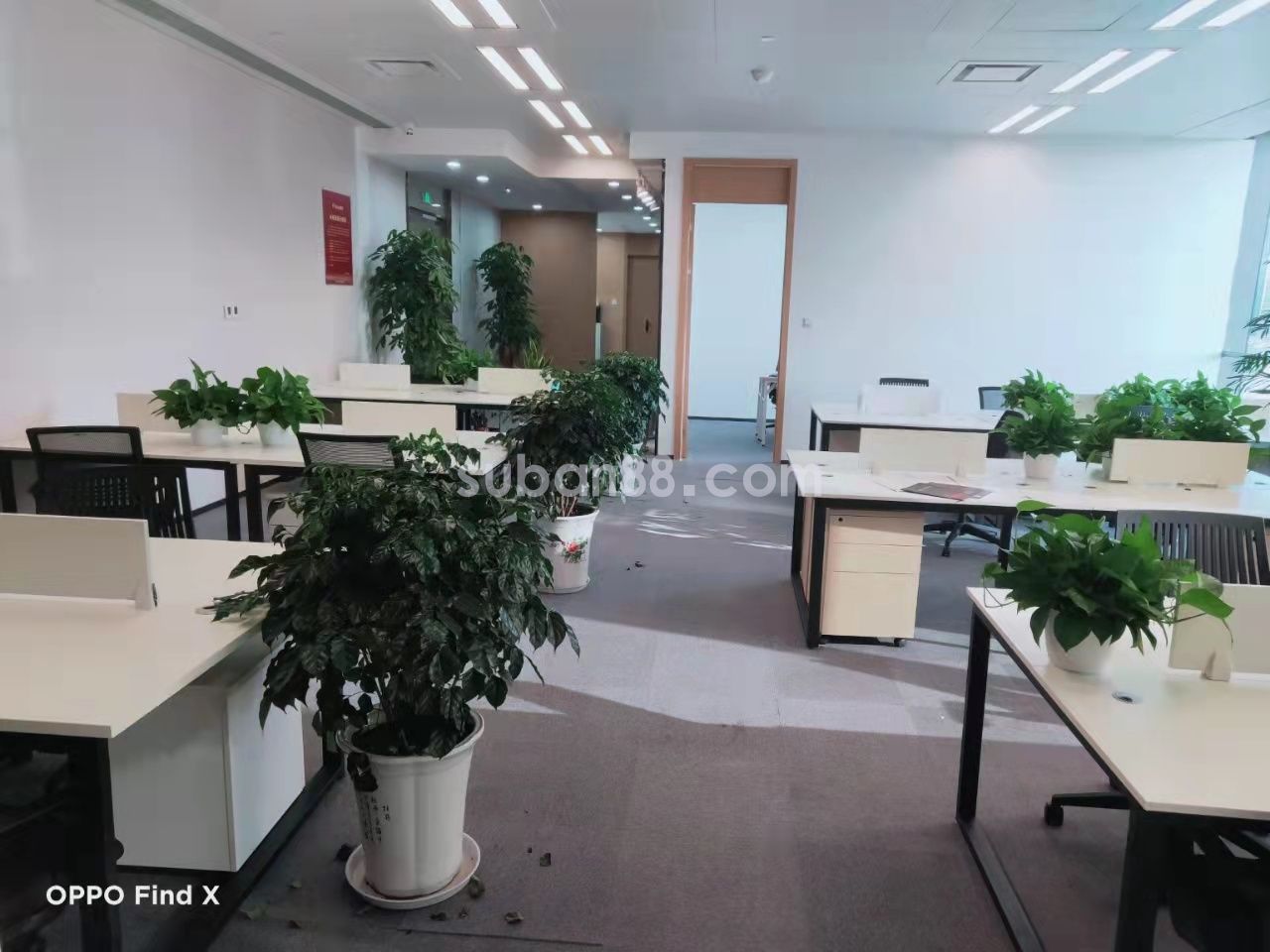 蘇州市 工業園區 蘇州中心 湖景房 首次出租